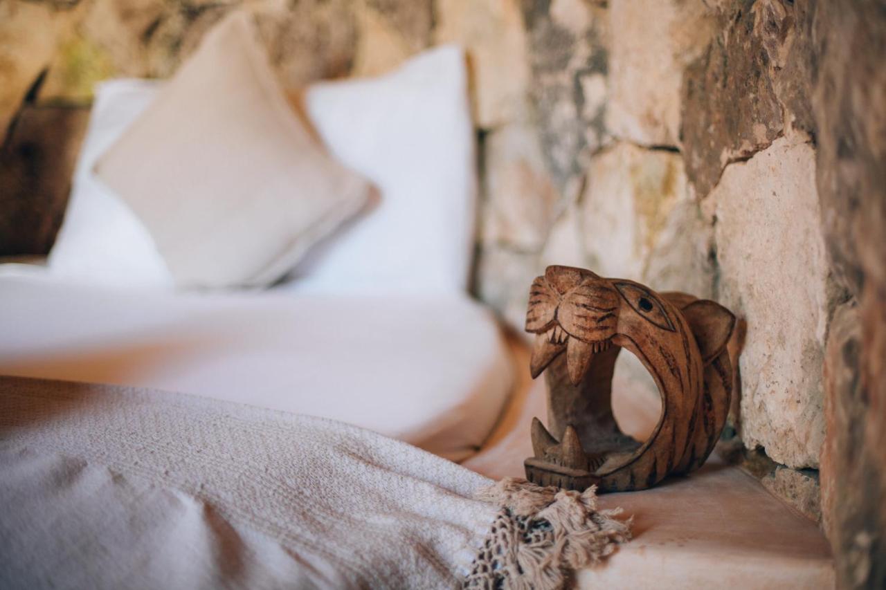 Ikal Tulum Hotel エクステリア 写真 A lion tooth ring